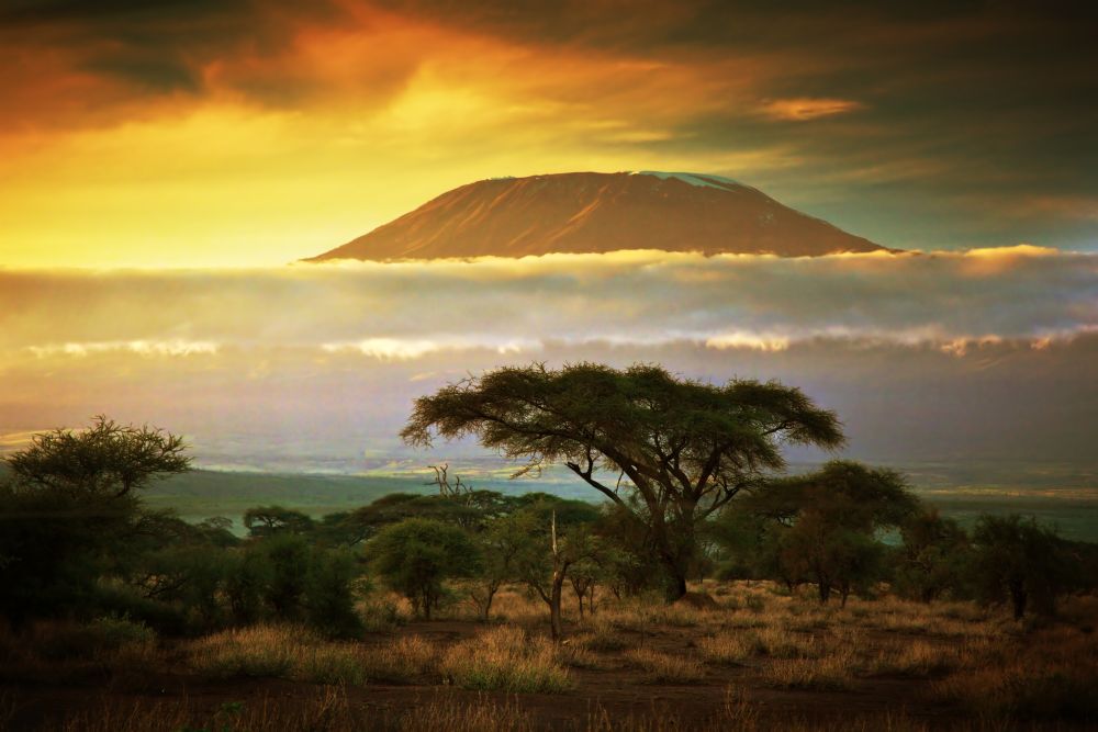 Kilimanjaro