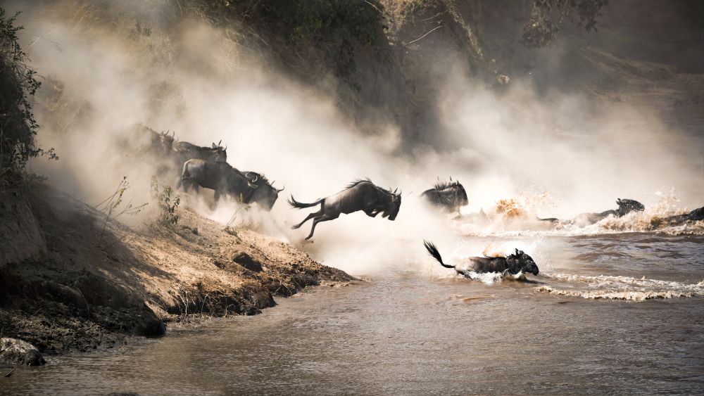 Maasai Mara Camp