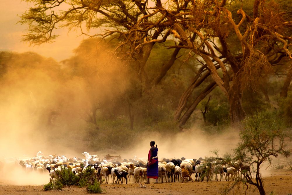 Maasai Mara