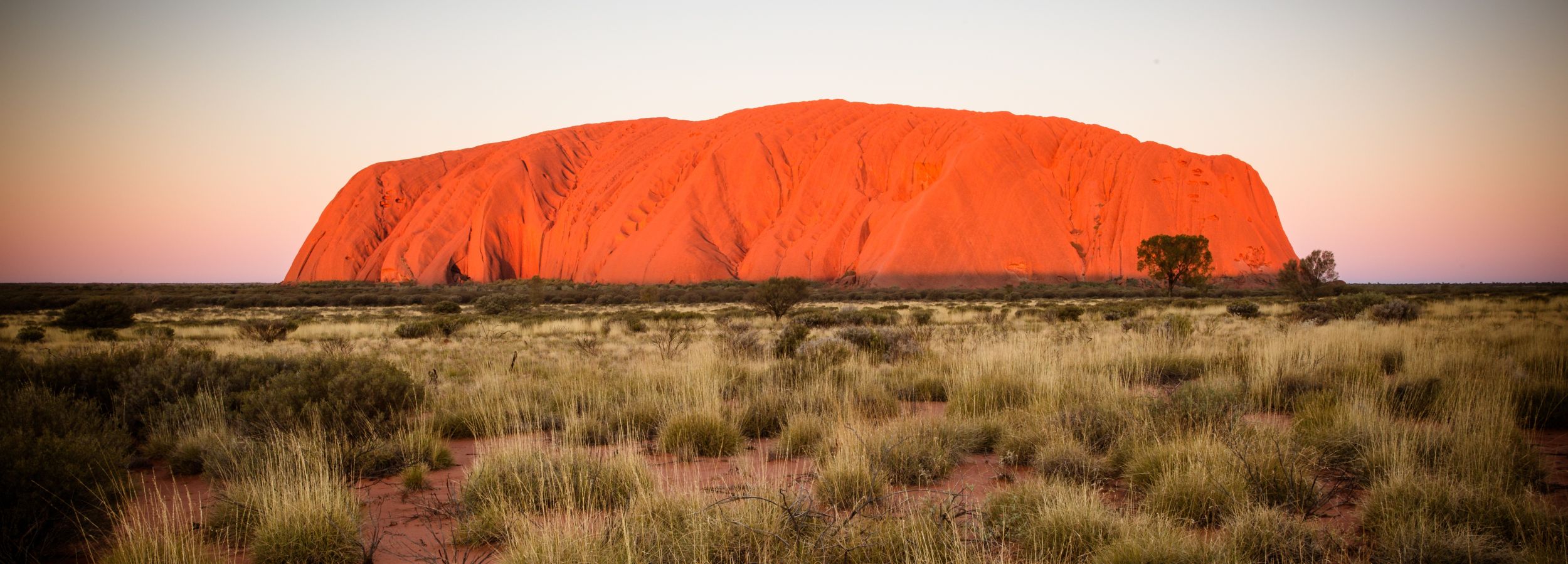 Banner Australien