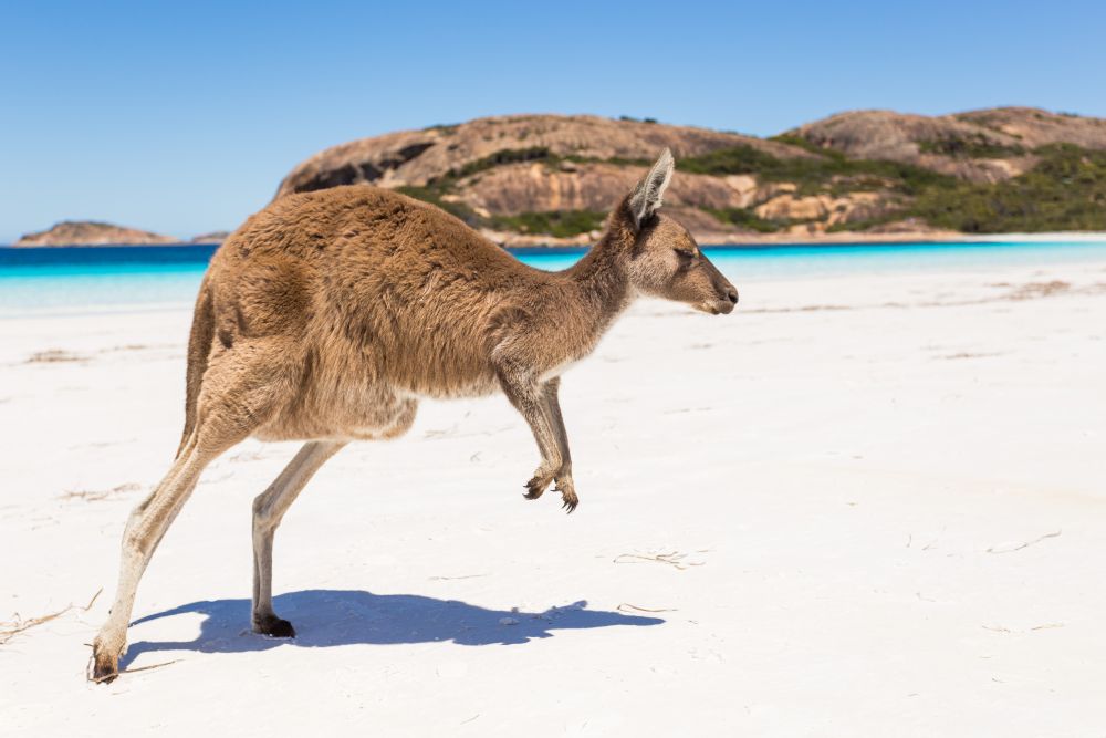 Beste Reisezeit für Australien