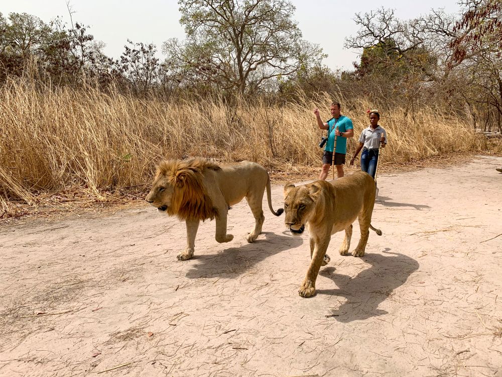 Gambia