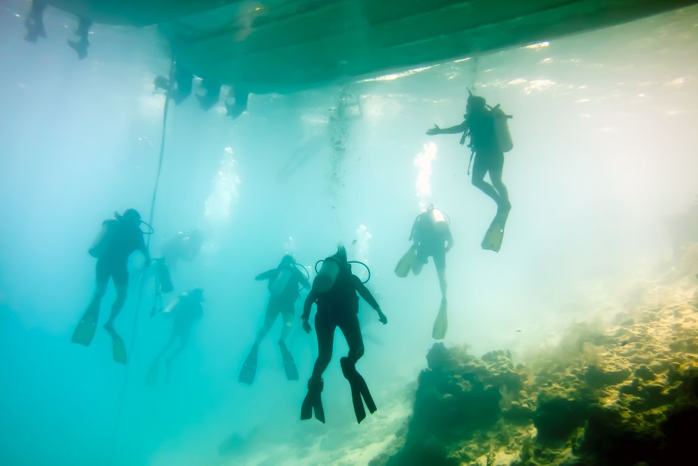 Tauchen auf Belize