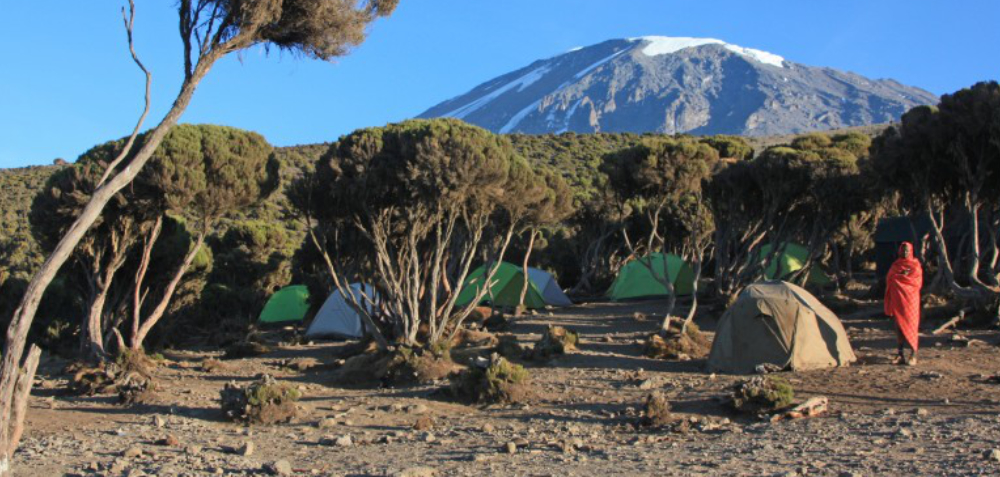 Zelttrekking auf den Kilimanjaro über die Machame-Route